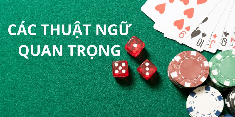 Những thuật ngữ cần biết để trở thành cao thủ khi tìm hiểu Xì dách là gì