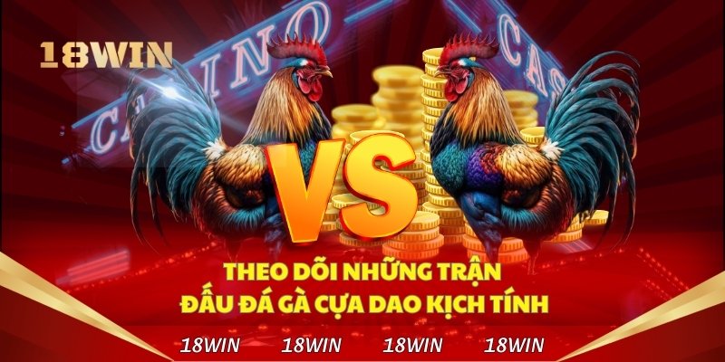 Lợi ích khi chơi tại trường gà Mộc Hóa qua 18Win